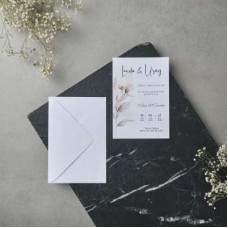 Polen Sade 22617